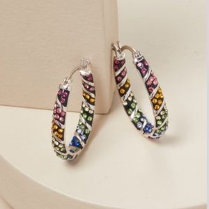 Swarovski crystal hoop earrings
